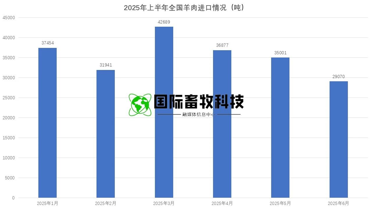 20250722145464146414 NG28-²»·²³É¾Í·Ç·²,ÏàÐÅÆ·ÅƵÄÁ¦Á¿