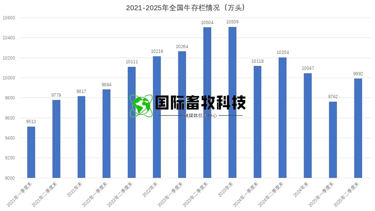 20250722145575687568 NG28-不凡成就非凡,相信品牌的力量