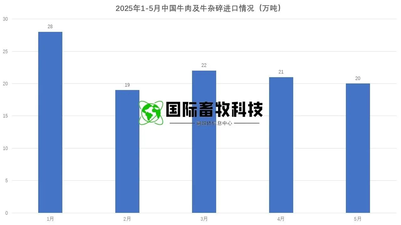 20250722145682778277 NG28-不凡成就非凡,相信品牌的力量