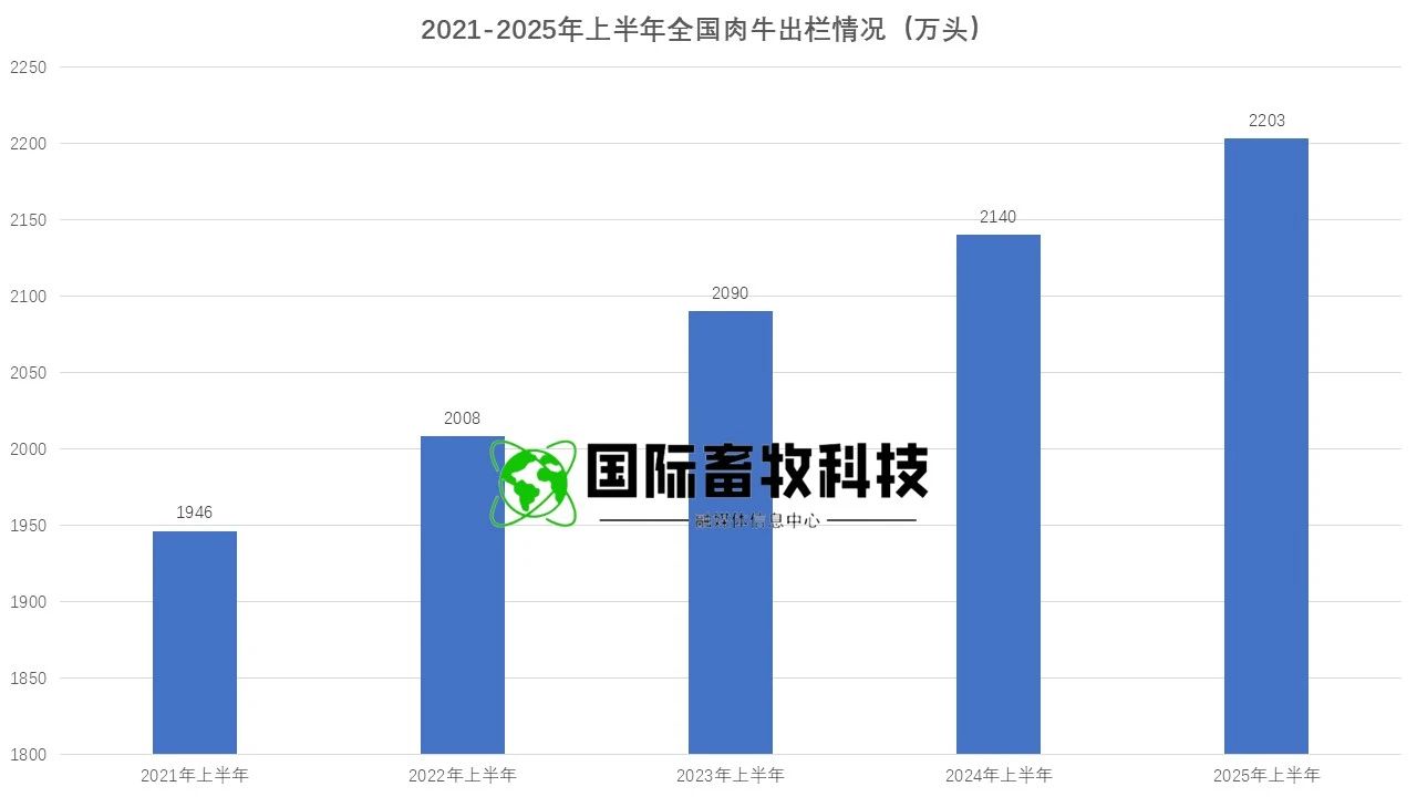2025072214570125125 NG28-不凡成就非凡,相信品牌的力量
