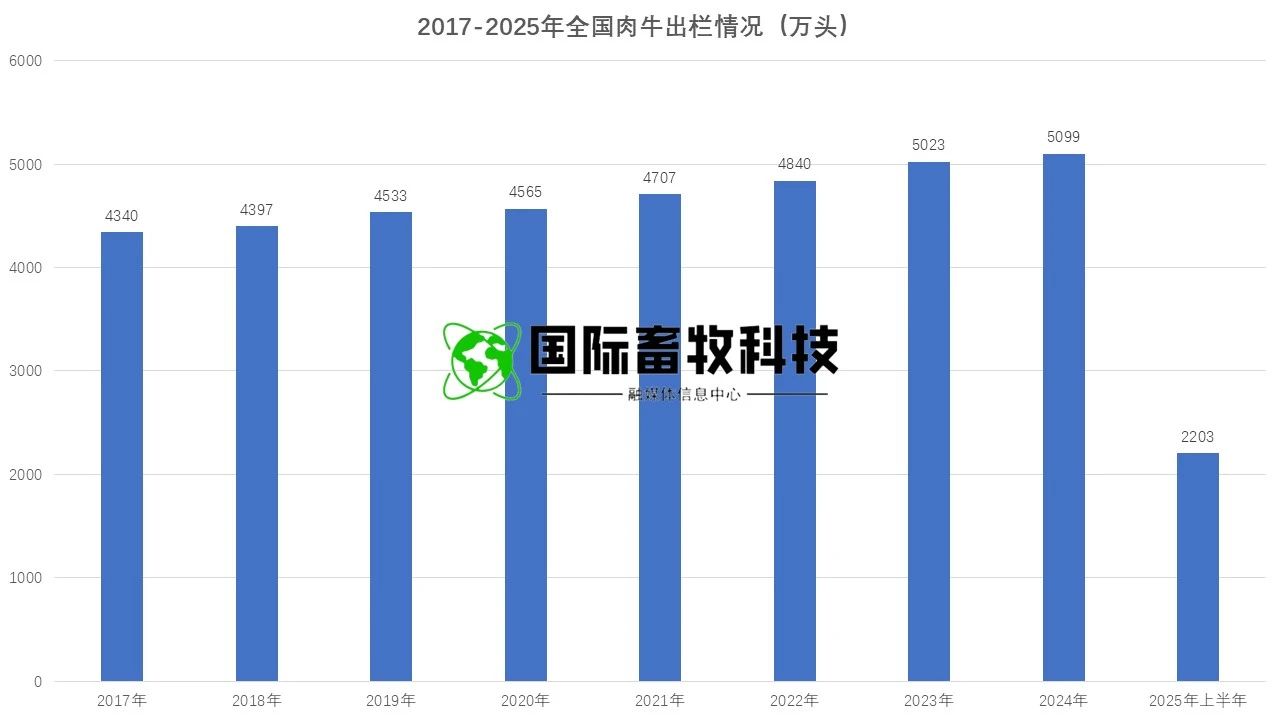 20250722145762246224 NG28-不凡成就非凡,相信品牌的力量